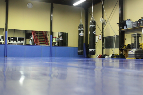 Striking_gym_ares_dojo